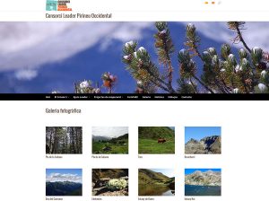 Web del Consorci Leader Pirineu Occidental