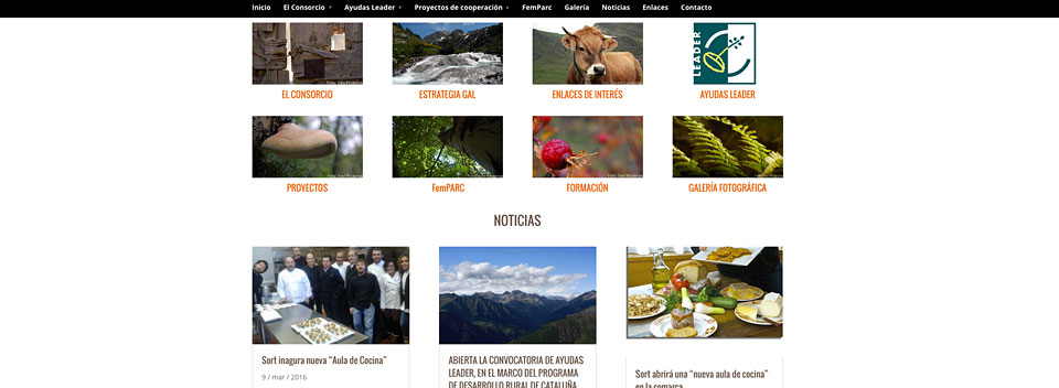Portales con un gran volumen de contenidos y de actualización permanente en varios idiomas. 20 años creando con CMS -gestor de contenidos- a medida o estándares, según sus necesidades.