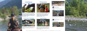 Minisites y webs sencillas