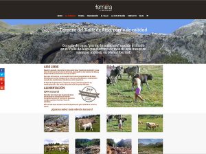 En Pirineum llevamos varios meses trabajando con los responsables de "Ternera del Valle de Aísa" para poner en marcha su web y tienda online para su carne (www.terneravalledeaisa.es).