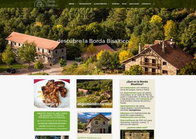 Web en WordPress para Borda Bisaltico