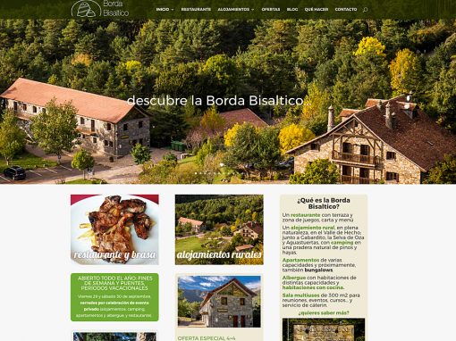 Web en WordPress para Borda Bisaltico