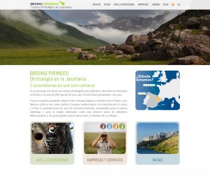 La nueva web www.birdingpirineos.com es una completa guía práctica de ornitología en la Jacetania, en español e inglés, muy visual y accesible desde todo tipo de dispositivos. En la misma se puede encontrar un archivo con ecosistemas y más de 200 especies de aves, 14 rutas señalizadas por la comarca, un directorio de establecimientos certificados en turismo ornitológico y un blog y agenda de actividades ornitológicas,