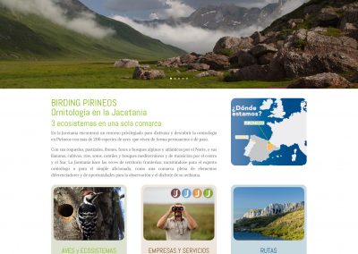Web de turismo ornitológico de la Jacetania: Birding Pirineos