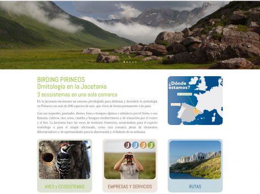 Web de turismo ornitológico de la Jacetania: Birding Pirineos