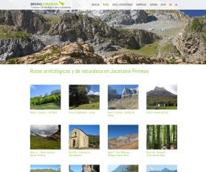 La nueva web www.birdingpirineos.com es una completa guía práctica de ornitología en la Jacetania, en español e inglés, muy visual y accesible desde todo tipo de dispositivos. En la misma se puede encontrar un archivo con ecosistemas y más de 200 especies de aves, 14 rutas señalizadas por la comarca, un directorio de establecimientos certificados en turismo ornitológico y un blog y agenda de actividades ornitológicas,