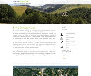La nueva web www.birdingpirineos.com es una completa guía práctica de ornitología en la Jacetania, en español e inglés, muy visual y accesible desde todo tipo de dispositivos. En la misma se puede encontrar un archivo con ecosistemas y más de 200 especies de aves, 14 rutas señalizadas por la comarca, un directorio de establecimientos certificados en turismo ornitológico y un blog y agenda de actividades ornitológicas,