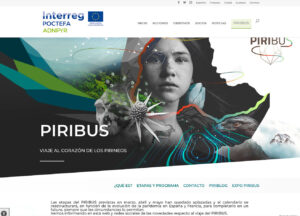Web multi idioma en WordPress del proyecto Poctefa ADNPYR . ADN Pirineos es un proyecto de valorización del patrimonio pirenaico y de cooperación de la Red Educación Pirineos Vivos.