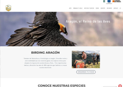 BIRDING ARAGÓN Turismo de Naturaleza y Ornitología en Aragón