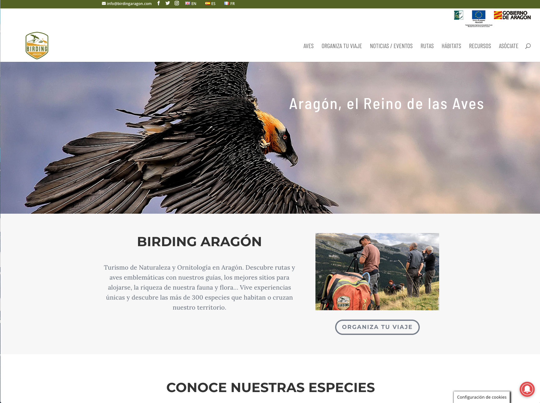 BIRDING ARAGÓN Turismo de Naturaleza y Ornitología en Aragón